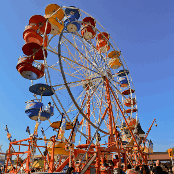 Ferris Wheel at Summer in the City